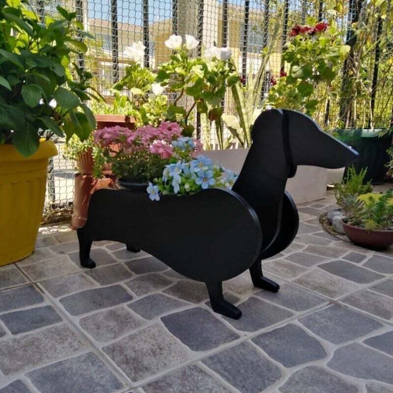 PawPlanter